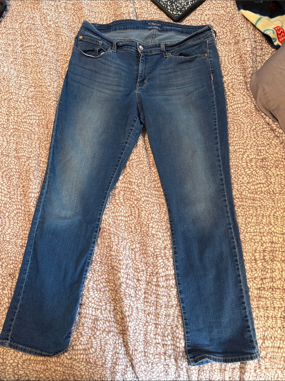 Signature by Levi Strauss Women's Straight Leg Jeans in Indigo Blue